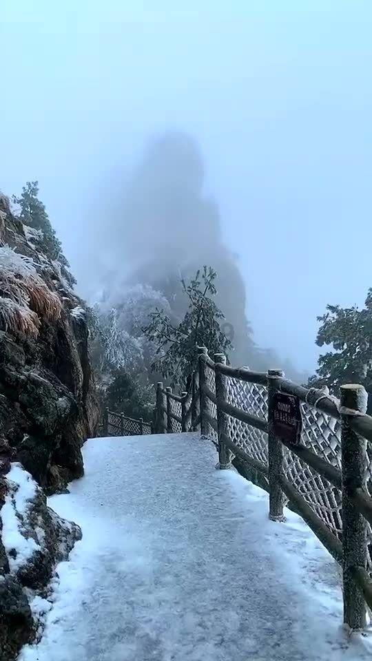 旋转轮胎