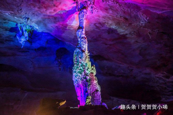 燃烧吧大脑免广告最新版