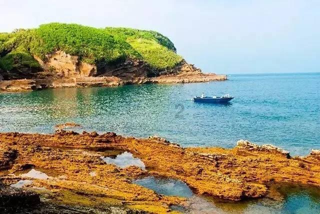 四婚汪峰牵手五婚陈露,离大谱!为了上头条,汪峰可真是拼了啊!