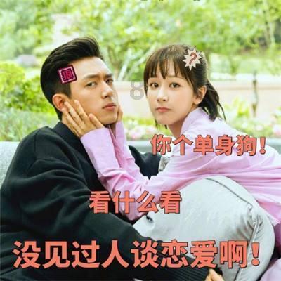 逗小猴开心系列198