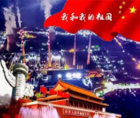 可爱小猫向上跳